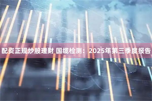 配资正规炒股理财 国缆检测：2025年第三季度报告