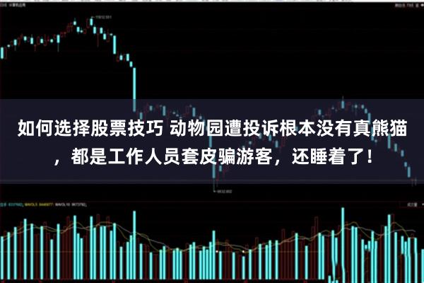 如何选择股票技巧 动物园遭投诉根本没有真熊猫，都是工作人员套皮骗游客，还睡着了！