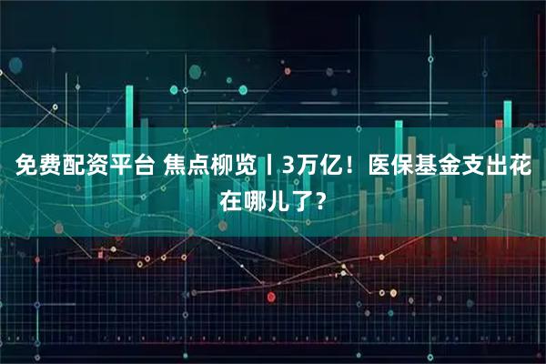 免费配资平台 焦点柳览丨3万亿！医保基金支出花在哪儿了？