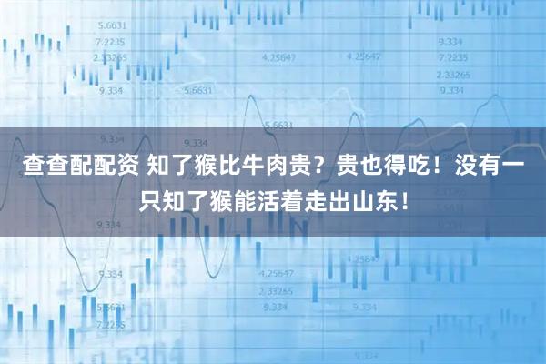 查查配配资 知了猴比牛肉贵？贵也得吃！没有一只知了猴能活着走出山东！