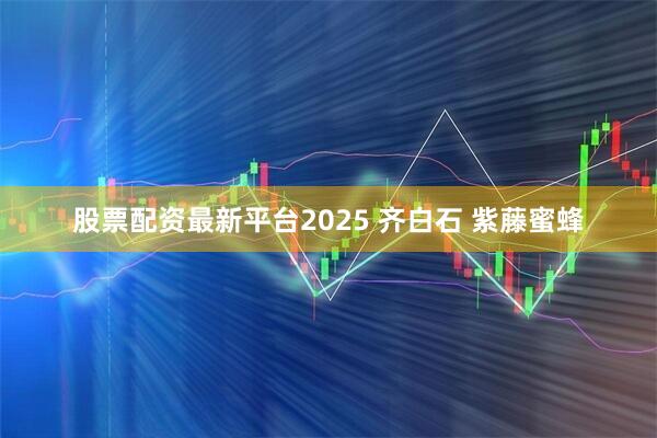 股票配资最新平台2025 齐白石 紫藤蜜蜂