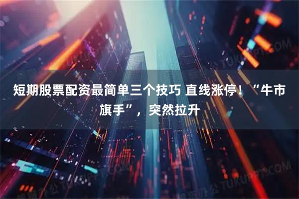 短期股票配资最简单三个技巧 直线涨停！“牛市旗手”，突然拉升